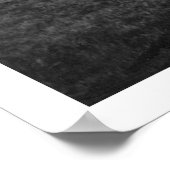 Whale Skeleton Alaska 1922 Poster (Hoek)