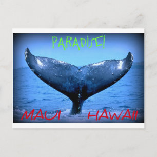 WHALE TAIL MAUI PARADISE HAWAII BRIEFKAART