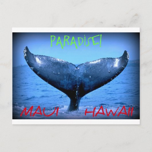 WHALE TAIL MAUI PARADISE HAWAII BRIEFKAART (Voorkant)