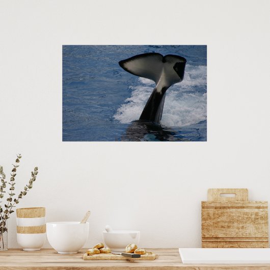 Whale Tail Poster (Keuken)