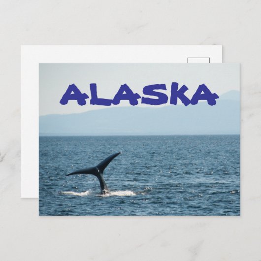 Whale Tail Schilderachtig Alaska Briefkaart (Voorkant / Achterkant)