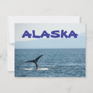 Whale Tail Schilderachtig Alaska Briefkaart