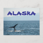 Whale Tail Schilderachtig Alaska Briefkaart (Voorkant)