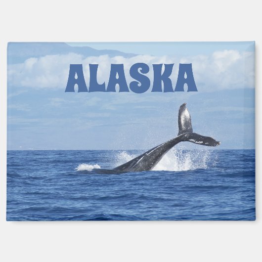 Whale Tail Schilderachtig Oceanic Alaska Magnet Gi (Voorkant)
