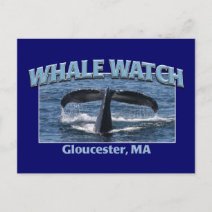 Whale Watch Briefkaart