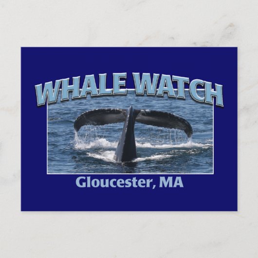 Whale Watch Briefkaart (Voorkant)