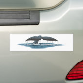 Whale Watcher Bumpersticker (Op auto)