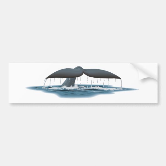 Whale Watcher Bumpersticker (Voorkant)