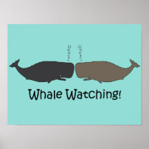 Whale Watching Fun