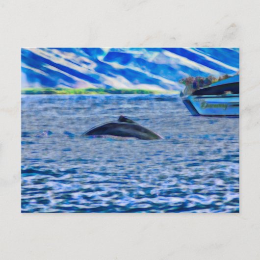 Whale Watching in Hawaii van Maui Briefkaart (Voorkant)