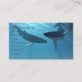 Whale Wonders Visitekaartje