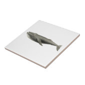 "WHALE" ZEELKERAMISCHE TEGEL TEGELTJE (Zijkant)