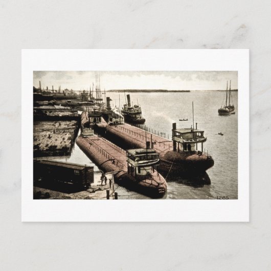 Whalebacks op Belle Isle, Michigan Briefkaart (Voorkant)