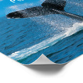 WhaleMath Poster (Hoek)