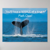 WhaleMath Poster (Voorkant)