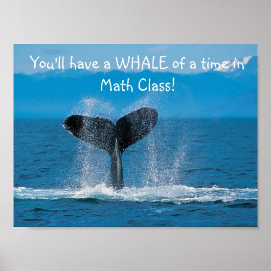 WhaleMath Poster (Voorkant)