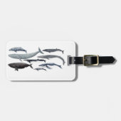 Whales and right whales bagagelabel (Voorkant horizontaal)