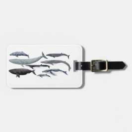 Whales and right whales bagagelabel