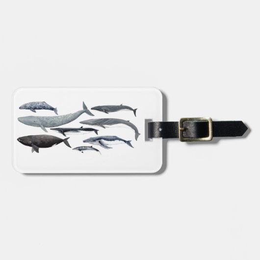 Whales and right whales bagagelabel (Voorkant horizontaal)