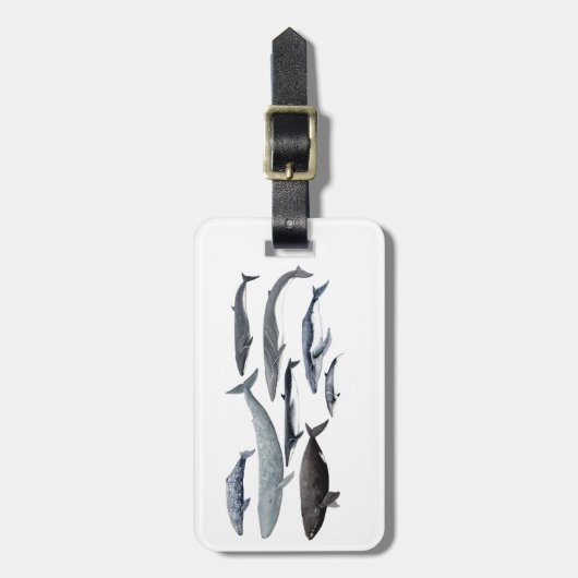 Whales and right whales bagagelabel (Voorkant verticaal)