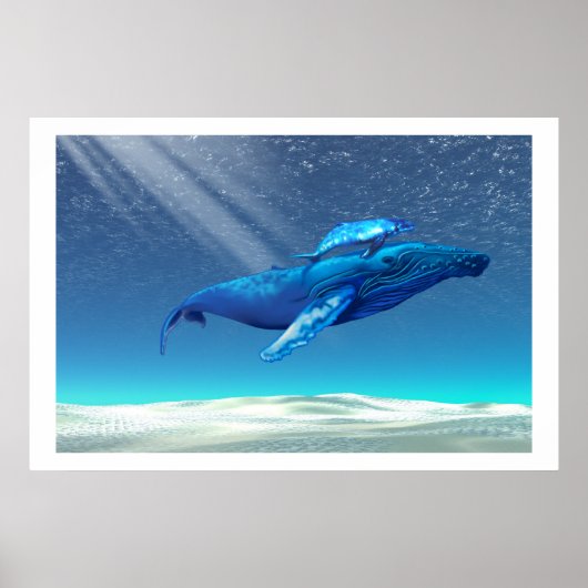WHALES PRINT (Voorkant)