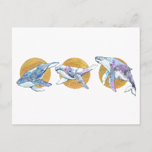 Whales Trio Fly Float en Dream A Briefkaart (Voorkant)