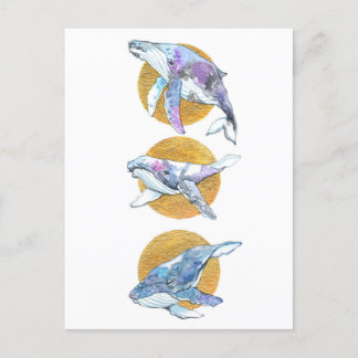 Whales Trio Fly Float en Dream B Briefkaart