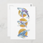 Whales Trio Fly Float en Dream B Briefkaart (Voorkant / Achterkant)