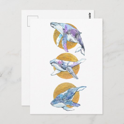 Whales Trio Fly Float en Dream B Briefkaart (Voorkant / Achterkant)