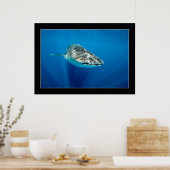 Whaleshark #1 poster (Keuken)