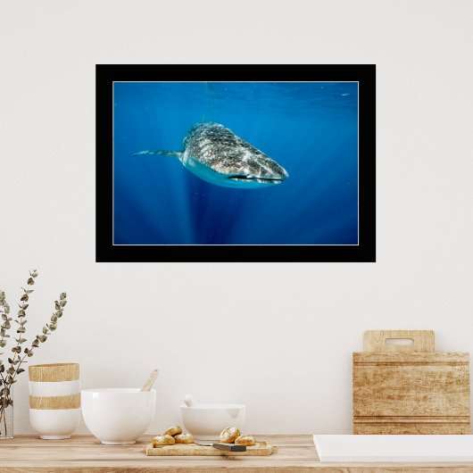 Whaleshark #1 poster (Keuken)