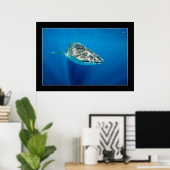 Whaleshark #1 poster (Thuiskantoor)