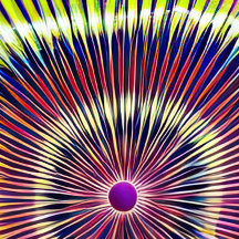 Wham-O Ultimate UPA goedgekeurd 175g Frisbee Flyin