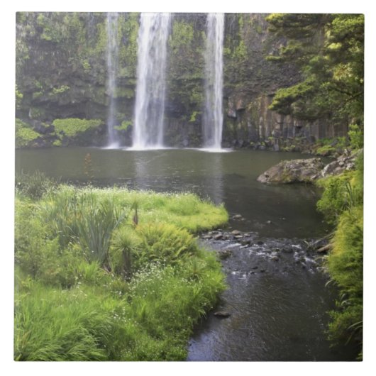 Whangarei Herfsten, Whangarei, Northland, New 2 Tegeltje (Voorkant)