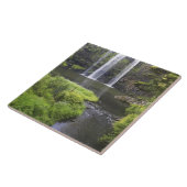 Whangarei Herfsten, Whangarei, Northland, New 2 Tegeltje (Zijkant)