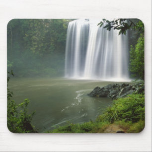 Whangarei-watervallen, Whangarei, Northland, Nieuw Muismat