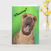 Whassup Greeting Card Kaart (Gele Bloem)