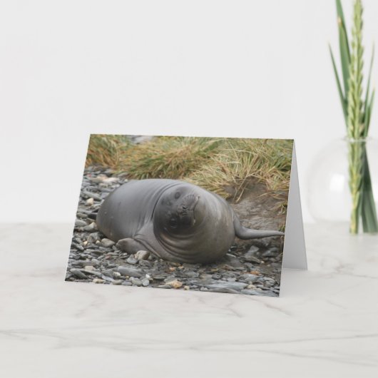 Whassup? Kaart (Voorkant)