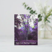 What a world briefkaart (Staand voorkant)