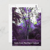 What a world briefkaart (Voorkant / Achterkant)