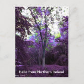 What a world briefkaart (Voorkant)