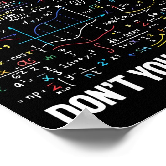 What Part Of Don't You Understand _ Funny Math Tea Poster (Hoek)