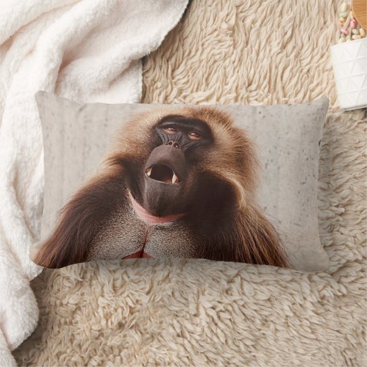 What’s going on kussen (Deken)