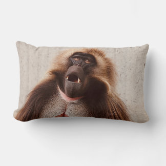 What’s going on kussen