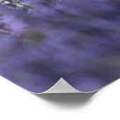 What’s stopping you. Motivational Poster (Hoek)