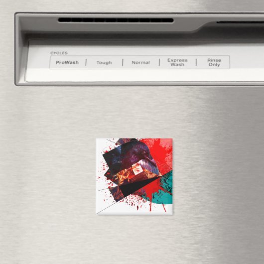 What you see in that eye magneet (Insitu (Vaatwasser))