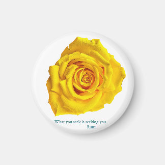 What you seek is seeking you. magneet