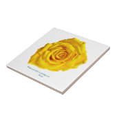 What you seek is seeking you. tegeltje (Zijkant)