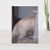 Whatcha die doen het Puppy van het Hallo? Kaart (Achterkant)