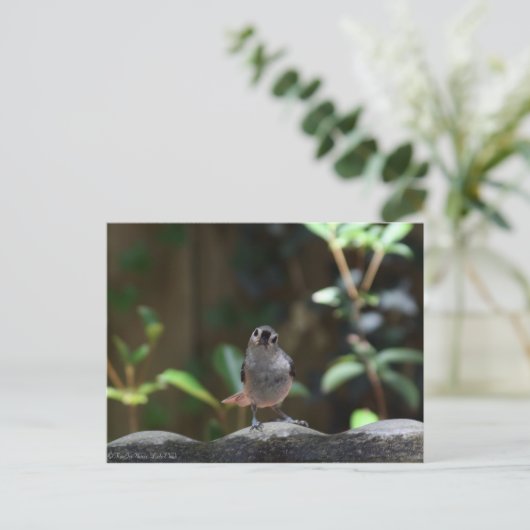 Whatcha Doin Briefkaart (Staand voorkant)